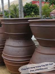 Chậu trồng cây 100*29