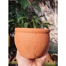 Chậu  trồng cây (15 *7)